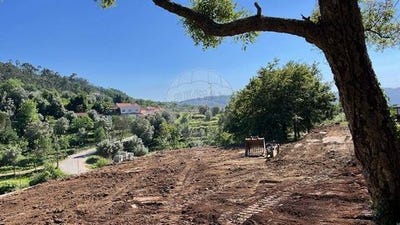 /international/pt/ponte-de-lima-viana-do-castelo-310106287889/