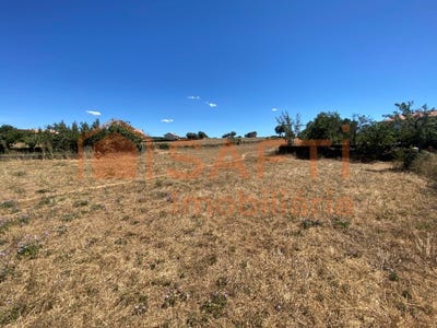 /international/pt/izeda-braganca-310100486808/