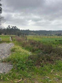 /international/pt/rua-da-abelheira-curvos-portugal-paderne-braga-310105758543/