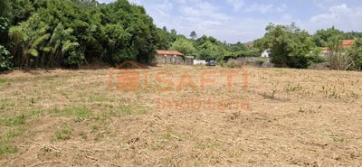 /international/pt/almoster-santarem-310102844520/