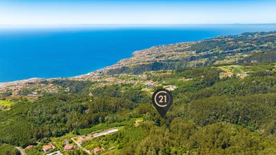 /international/pt/caminho-do-pico-alto-ilha-da-madeira-madeira-120091019032/