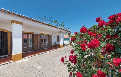/international/pt/cavaleiro-s-teotonio-beja-310104832232/