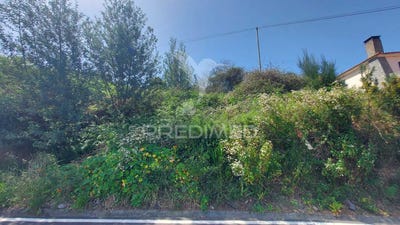 /international/pt/camacha-santa-cruz-madeira-120092060681/