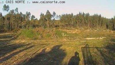 /international/pt/valongo-braganca-310103536599/