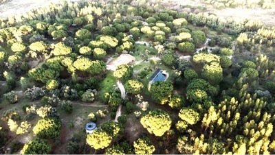 /international/pt/corticadas-de-lavre-evora-310101512184/