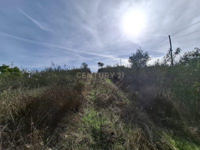 /international/pt/fwc4-h4-santa-clara-a-nova-e-gomes-aires-portugal-santa-clara-a-nova-beja-310103513075/