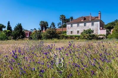 /international/pt/sintra-colares-colares-lisbon-310100640202/