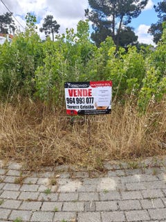 /international/pt/azeitao-sao-lourenco-e-sao-simao-setubal-setubal-municipality-310106936957/