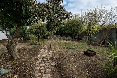 /international/pt/moita-setubal-municipality-120089061597/