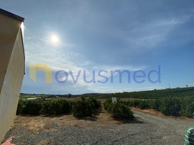 /international/pt/quelfes-faro-310104280641/