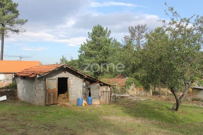 /international/pt/gondomar-braga-310105187269/