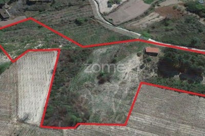 /international/pt/alijo-vila-real-310104169371/