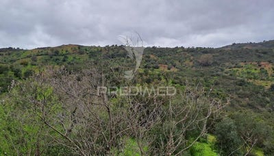 /international/pt/santa-catarina-da-fonte-do-bispo-tavira-faro-310095140132/