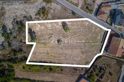 /international/pt/viana-do-castelo-viana-do-castelo-310094656054/