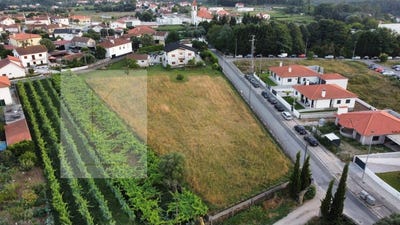 /international/pt/fontao-viana-do-castelo-310101083266/?lang=zh-tw