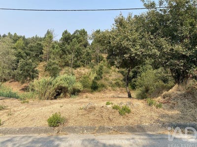 /international/pt/leiria-leiria-310101841849/