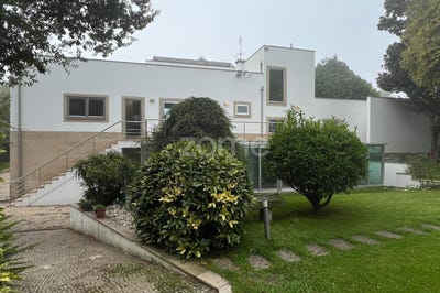 /international/pt/povoa-de-varzim-porto-310108046402/