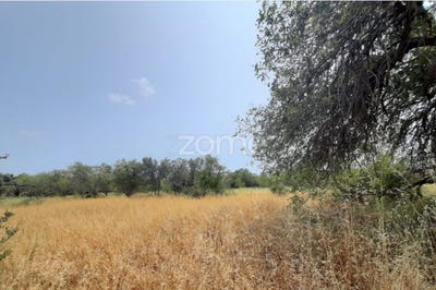 /international/pt/albufeira-faro-310100671467/