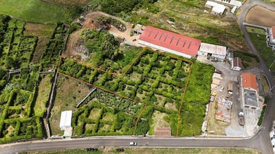 /international/pt/ilha-da-graciosa-azores-310093922557/