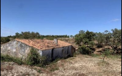 /international/pt/beja-beja-310095172375/