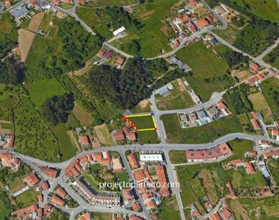 /international/pt/nogueira-da-regedoura-aveiro-120080984703/