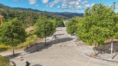 /international/pt/estrada-varzea-sintra-portugal-sintra-santa-maria-e-sao-miguel-lisbon-310108921785/