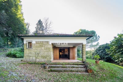 /international/pt/canicada-e-soengas-braga-310097007446/