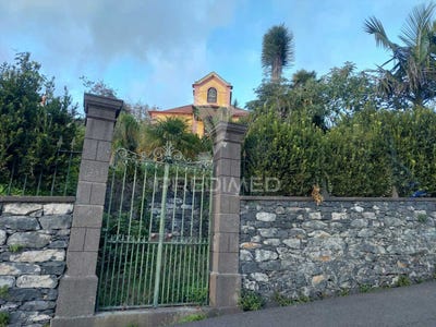 /international/pt/monte-funchal-madeira-310103560368/