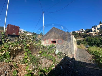 /international/pt/sao-roque-madeira-310097952856/