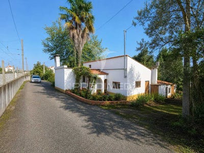 /international/pt/olaia-e-paco-torres-novas-santarem-310107900028/