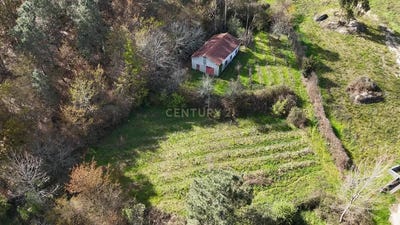 /international/pt/passos-braganca-310098443385/