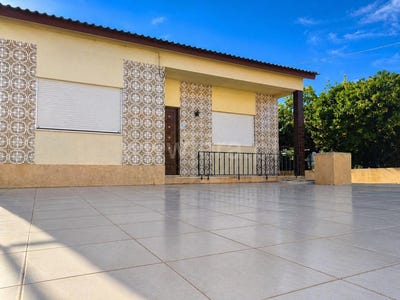 /international/pt/paiao-coimbra-310107980562/