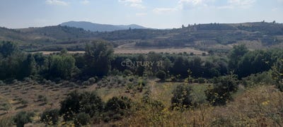 /international/pt/lote-5-chelas-cabanelas-porto-310101737445/