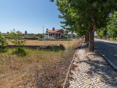 /international/pt/mira-braganca-310098169597/