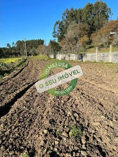 /international/pt/vila-verde-porto-310098169521/