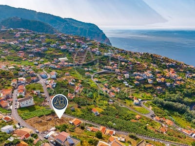 /international/pt/ribeira-brava-madeira-310107972623/