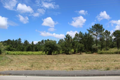 /international/pt/estrada-n-237-assanha-da-paz-almagreira-leiria-120091015590/