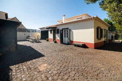 /international/pt/canhas-madeira-310103311327/