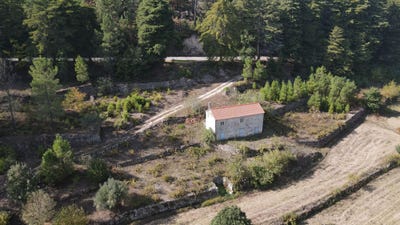/international/pt/lameirodo-vale-do-manjao-felgueiras-e-macores-viseu-district-310095267626/