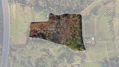 /international/pt/viana-do-castelo-viana-do-castelo-310109017568/