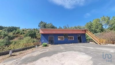/international/pt/leiria-leiria-310096407074/