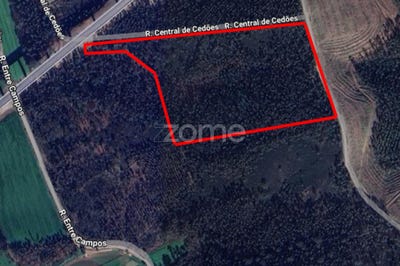 /international/pt/trofa-vila-real-310095139076/?lang=zh-cn
