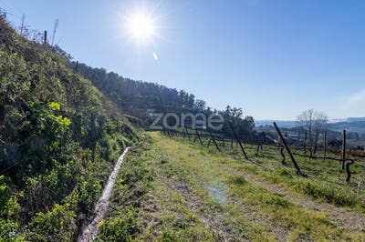 /international/pt/felgueiras-viseu-120082617447/