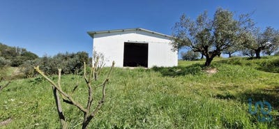 /international/pt/santarem-santarem-310108701083/