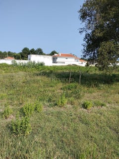 /international/pt/urbanizao-pinhal-de-leiria-asseiceira-santarem-310100664024/