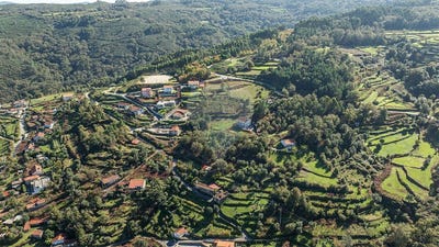 /international/pt/viana-do-castelo-viana-do-castelo-310106480510/