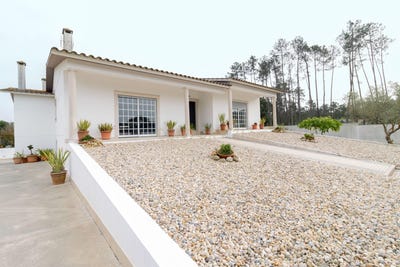 /international/pt/amor-setubal-municipality-310096909583/