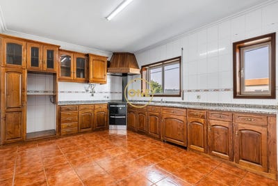 /international/pt/cavaloes-braga-310108418984/