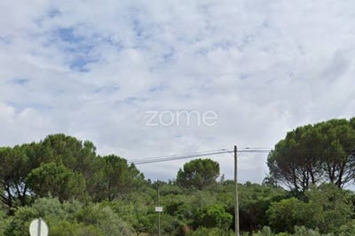 /international/pt/ansiao-leiria-310097924215/