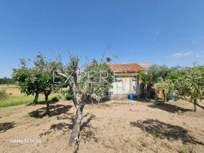 /international/pt/rua-da-carreira-cova-guarda-guarda-310100288372/